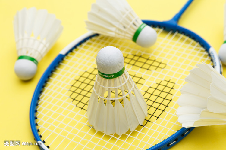 引了大量球 引了大量球