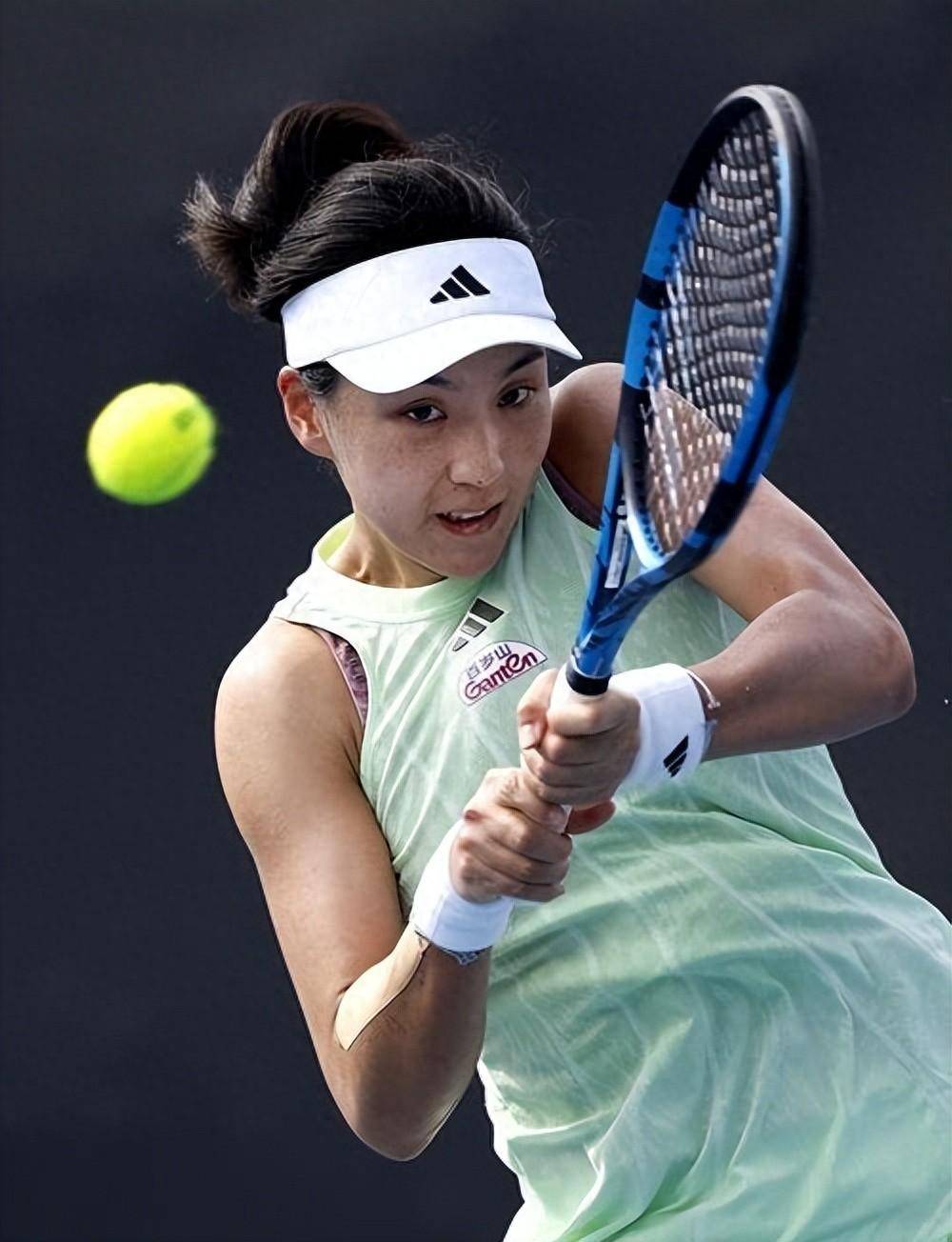 各路豪强 各路豪强